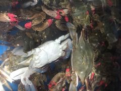 -宾朋海鲜特色美食餐厅·纯手工鲅鱼水饺(兴海路店)