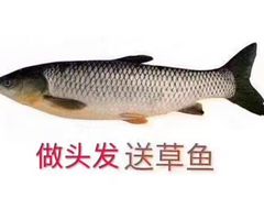 -万达广场(南京江宁店)