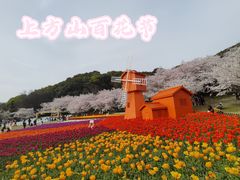 -苏州上方山国家森林公园
