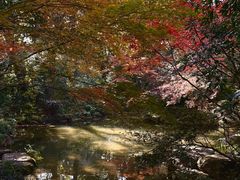 -中国茶叶博物馆(双峰馆区)