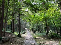 -冶父山国家森林公园