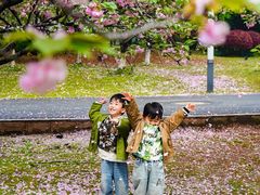 -苏州河梦清园环保主题公园