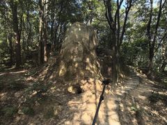 -火炉山森林公园