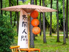 -桐江书院