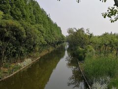 -上海长兴岛郊野公园