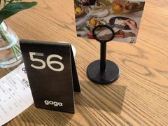 -gaga(深圳南山益田假日广场店)