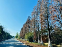 -神光山国家森林公园