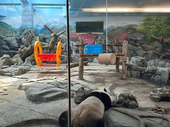 -武汉动物园