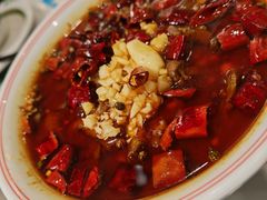 -欧记大排档·景德菜(上海首店)