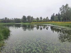 -东郊湿地公园
