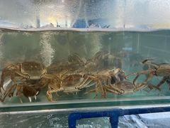 -品鲜村农家菜·阳澄湖大闸蟹(总店)