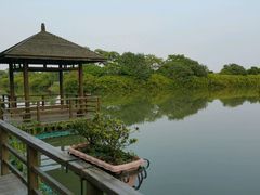 android_upload_pic-大湾区中央湿地公园
