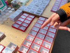 -中环花鸟鱼虫市场