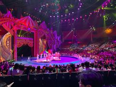 -珠海横琴长隆《卡卡虎奇遇记》