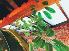 大堂-VOYAGE COFFEE(北锣鼓巷店)