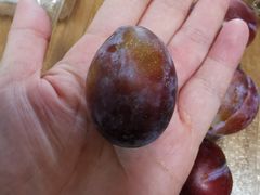 -百果园PAGODA(应元路店)