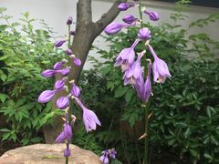 -金石唐风国际温泉会馆