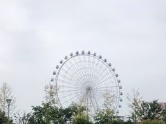 -琴岛之星摩天轮