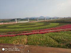 -光明小镇欢乐田园