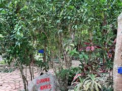 -中国科学院西双版纳热带植物园