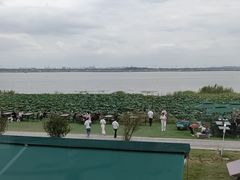 -七的湖·晚芳亭·阳澄湖农家菜·大闸蟹(莲花岛店)