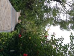 iphone_upload_pic-深圳华侨城洲际大酒店