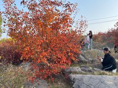 -青州市云门山风景区