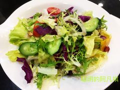 -蝎王府羊蝎子(北大地店)