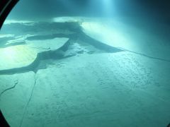 -白鹤梁水下博物馆