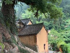 -杨家堂村