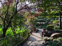 -嘉定紫藤园