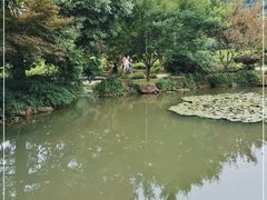 -中国茶叶博物馆(双峰馆区)
