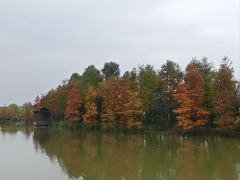 -上海长兴岛郊野公园