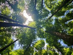 -山王坪喀斯特国家生态公园