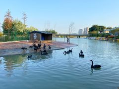 -琅岐红光湖公园