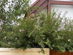 -郑州银基黄帝宫御温泉