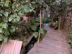 -大树头森林餐厅(番禺广场店)