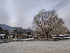 -北京西山国家森林公园