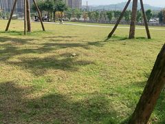 -映山红鲜货火锅(鱼嘴店)