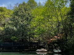 -白马涧龙池景区