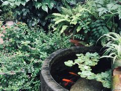 -胡桃里乐队酒馆(鎏嘉码头店)