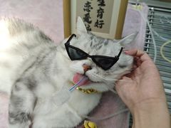 -瑞鹏宠物医院·超声·骨科·奇麟分院(蜀都万达店)