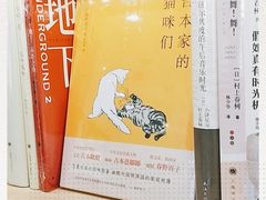 -猫的天空之城概念书店(束河店)