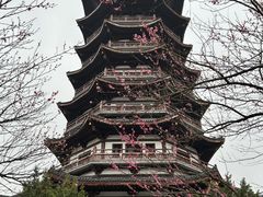 -洋湖国家湿地公园