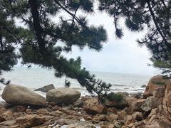 -崂山仰口游览区