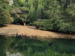 -长白岛森林公园