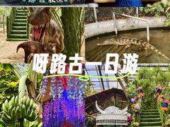 -呀路古热带植物园