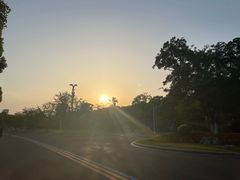 -羊山湖公园