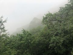 -阳台山自然风景区