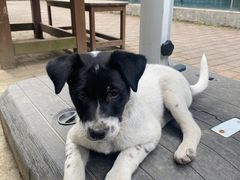 -微焙咖啡工厂(海峡创意产业园·红坊店)